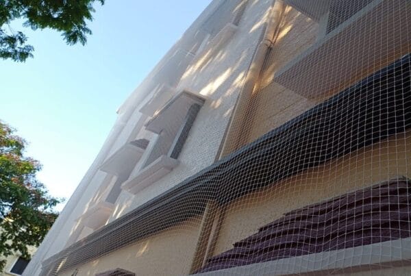 Pigeon Nets installation in Bengaluru
