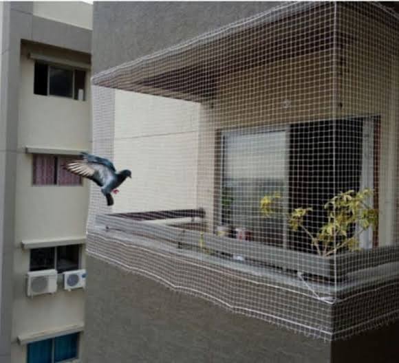 Anti Bird Nets — photo 18 installation in Bengaluru & Mysuru — real project photo by Jogi Invisible Grills
