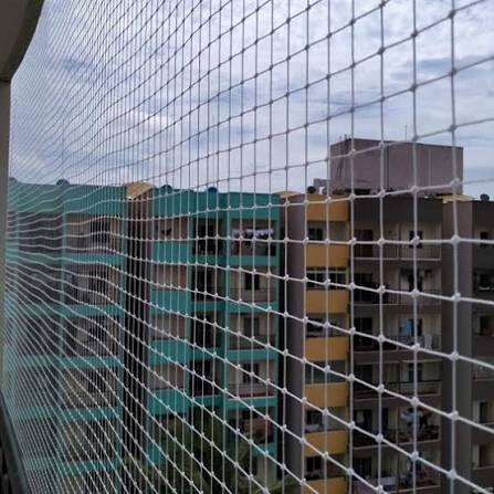 Bird Protection Nets — photo 10 installation in Bengaluru & Mysuru — real project photo by Jogi Invisible Grills