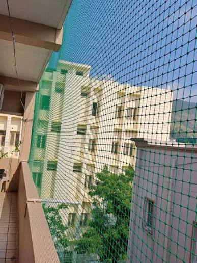 Bird Protection Nets — photo 14 installation in Bengaluru & Mysuru — real project photo by Jogi Invisible Grills