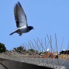 Bird Spikes Residential Bengaluru installation in Bengaluru — real project photo by Jogi Invisible Grills