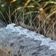 Bird Spikes — photo 5 installation in BTM Layout — real project photo by Jogi Invisible Grills