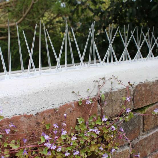 Bird Spikes — photo 5 installation in HSR Layout — real project photo by Jogi Invisible Grills