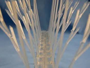 Pigeon Spikes — photo 7 installation in Bengaluru & Mysuru — real project photo by Jogi Invisible Grills