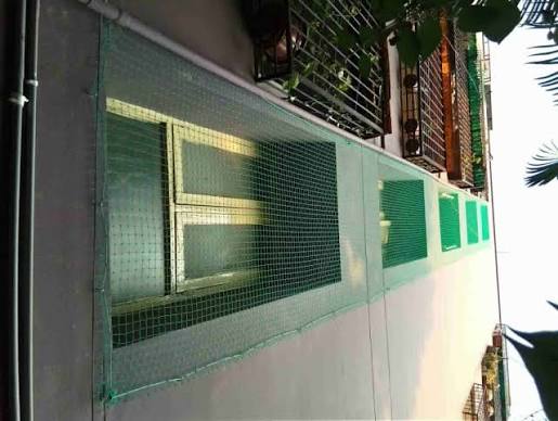 Pigeon Nets — photo 6 installation in Bengaluru & Mysuru — real project photo by Jogi Invisible Grills