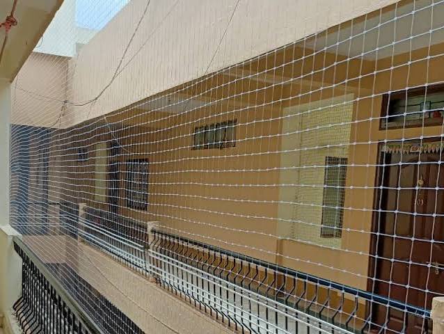 Pigeon Nets — photo 20 installation in Vijayanagar — real project photo by Jogi Invisible Grills