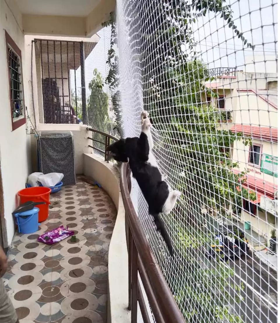 Child Safety Nets — photo 4 installation in BTM Layout — real project photo by Jogi Invisible Grills